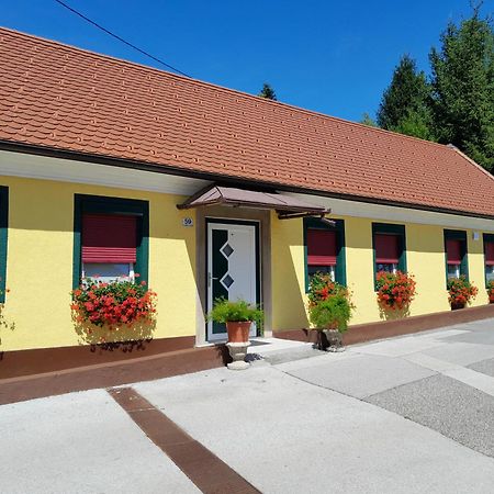 Hotel Pri Belokranjcu Novo Mesto Eksteriør billede