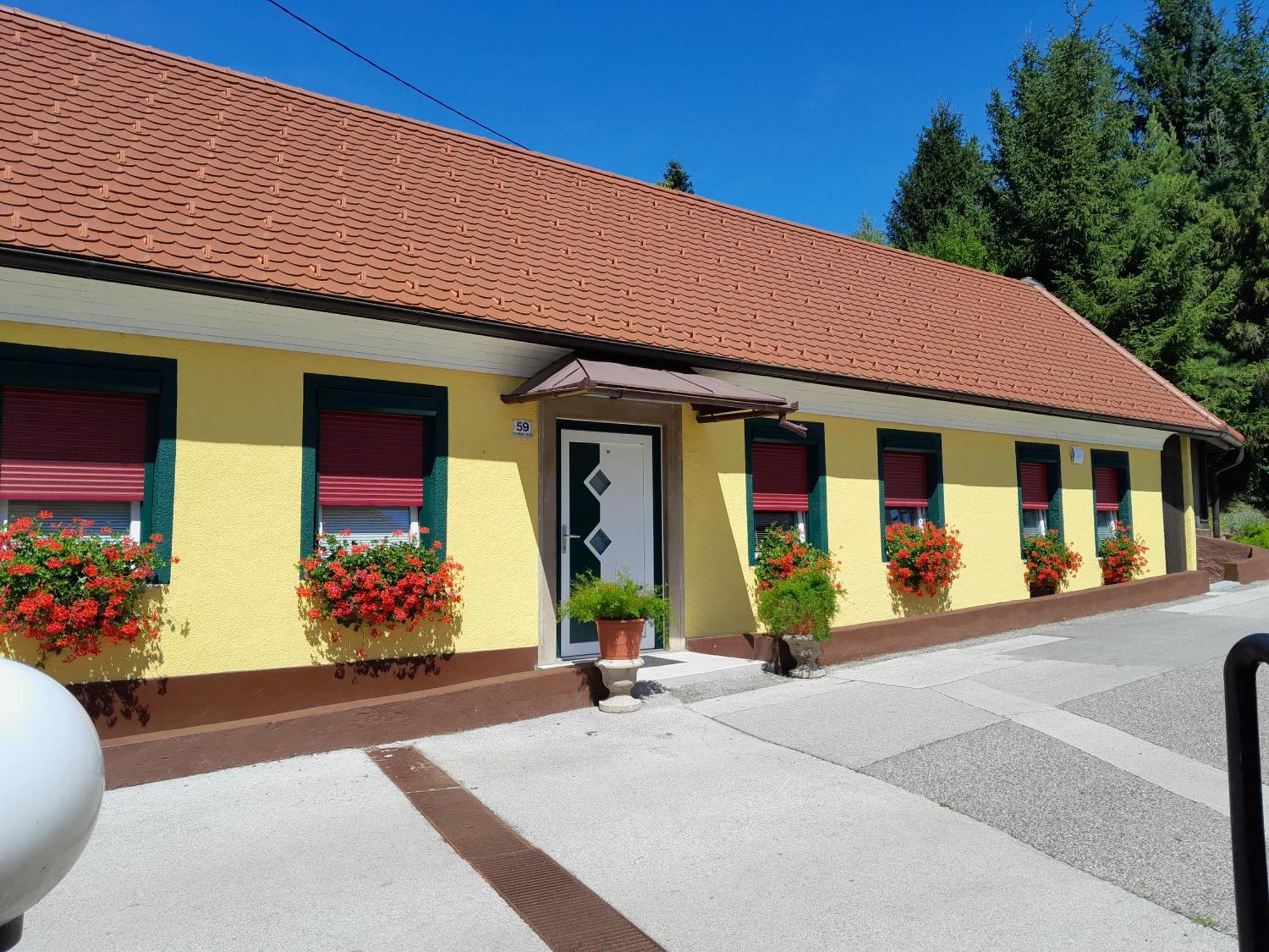 Hotel Pri Belokranjcu Novo Mesto Eksteriør billede