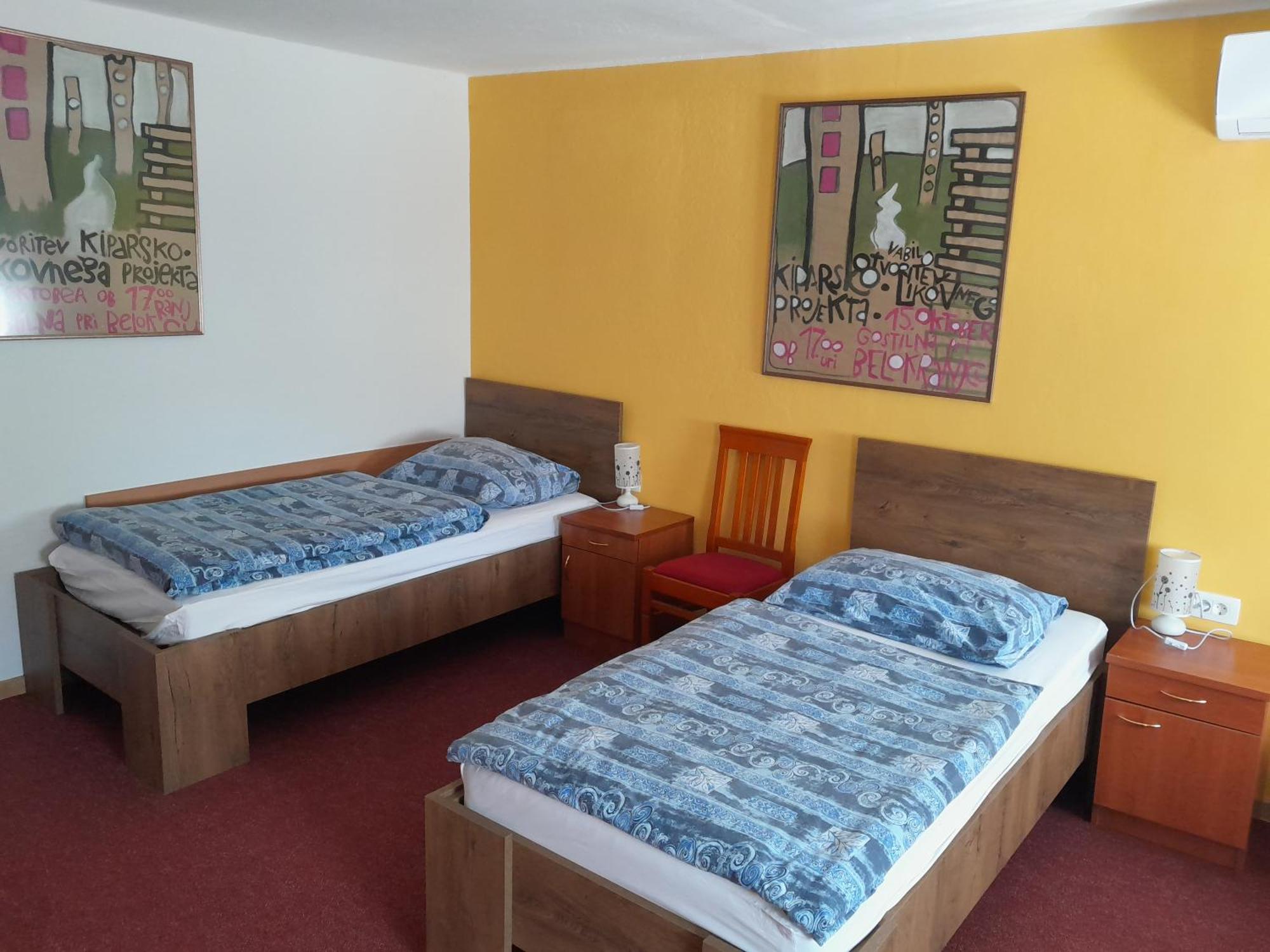 Hotel Pri Belokranjcu Novo Mesto Eksteriør billede