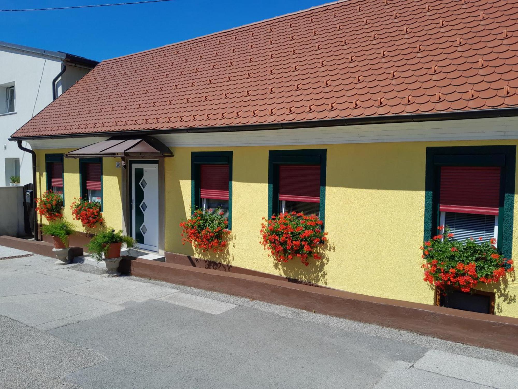 Hotel Pri Belokranjcu Novo Mesto Eksteriør billede